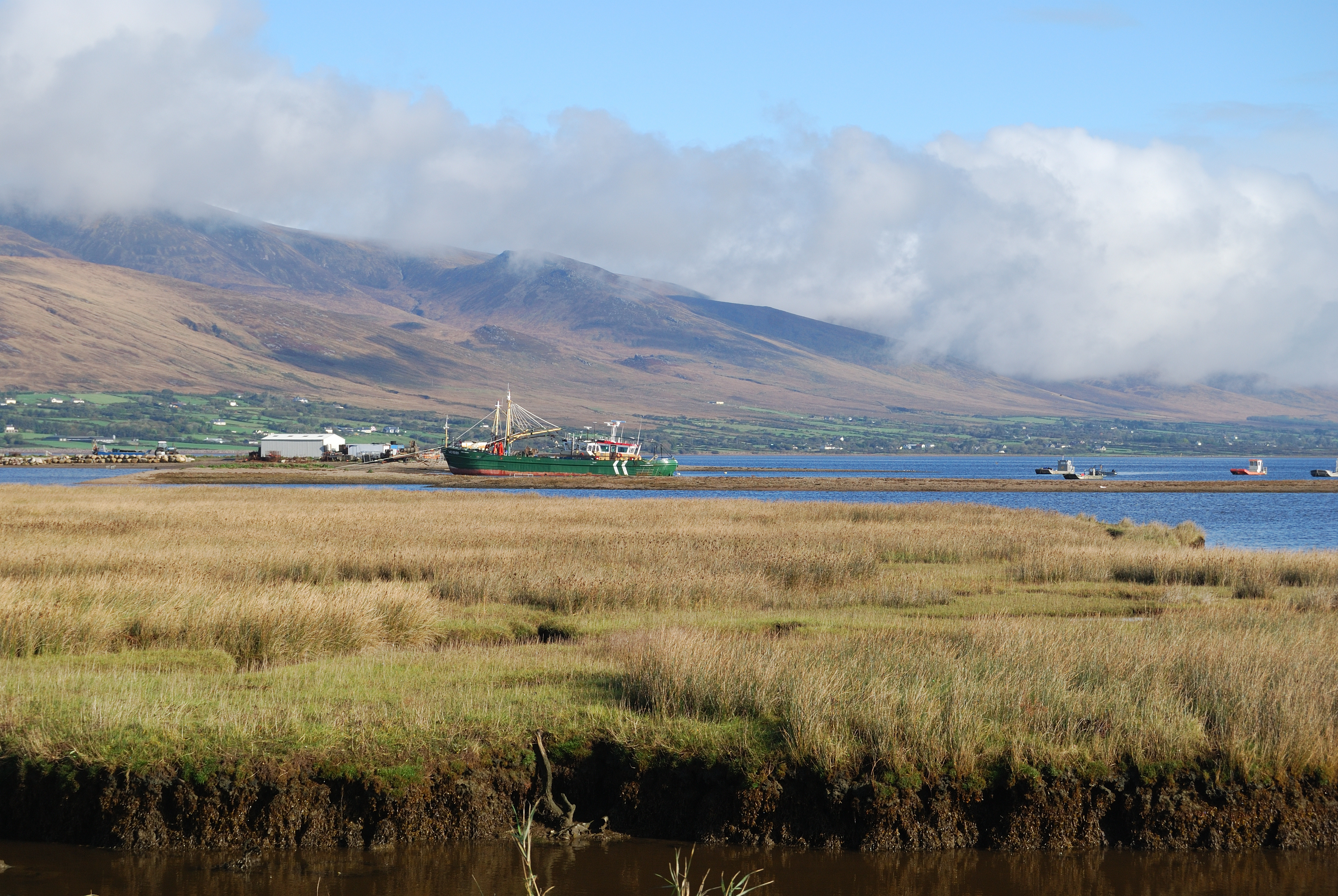 Leadership, Advocacy, & Professional Communication