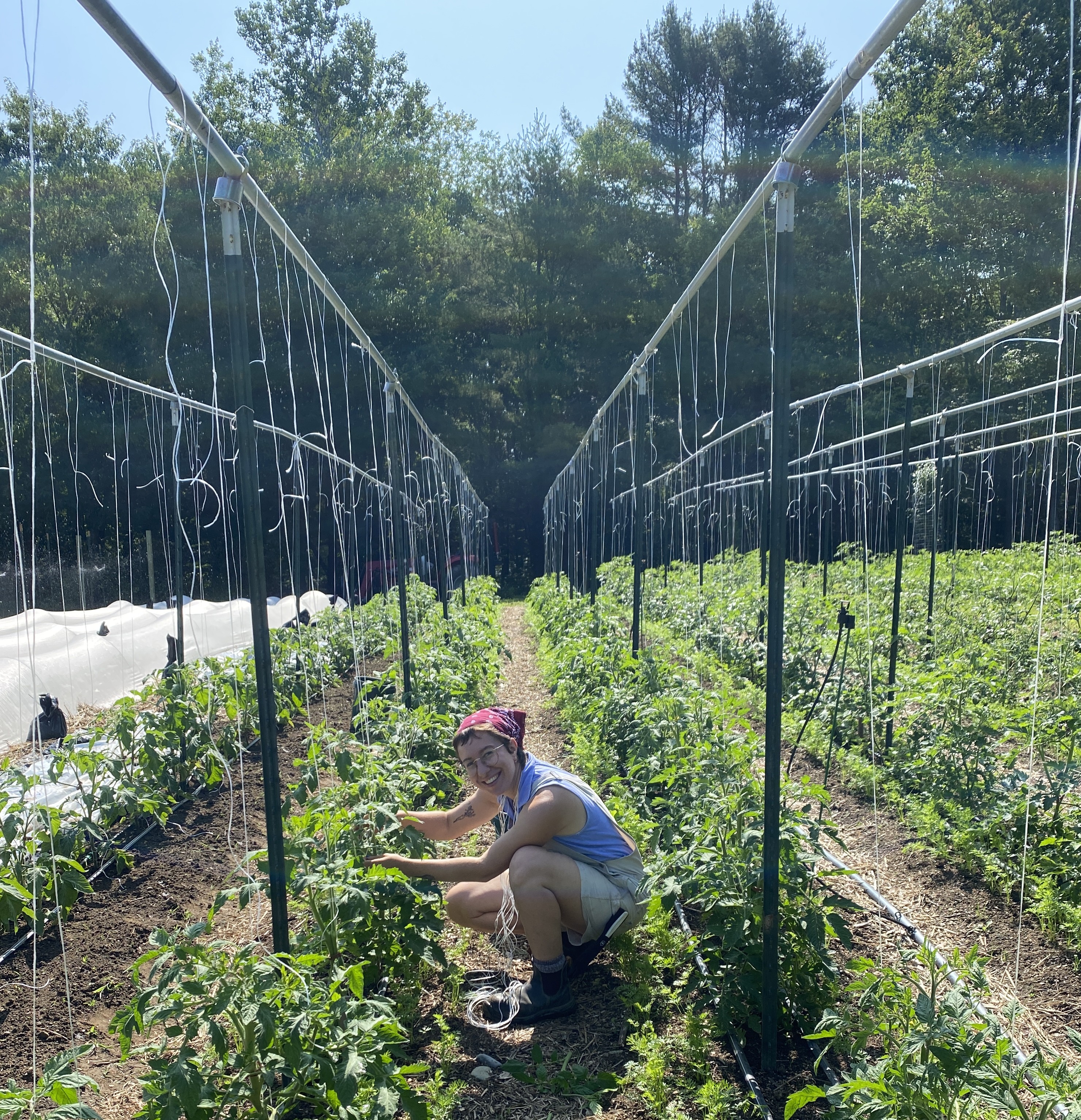 Critical Thinking & Research Methodology