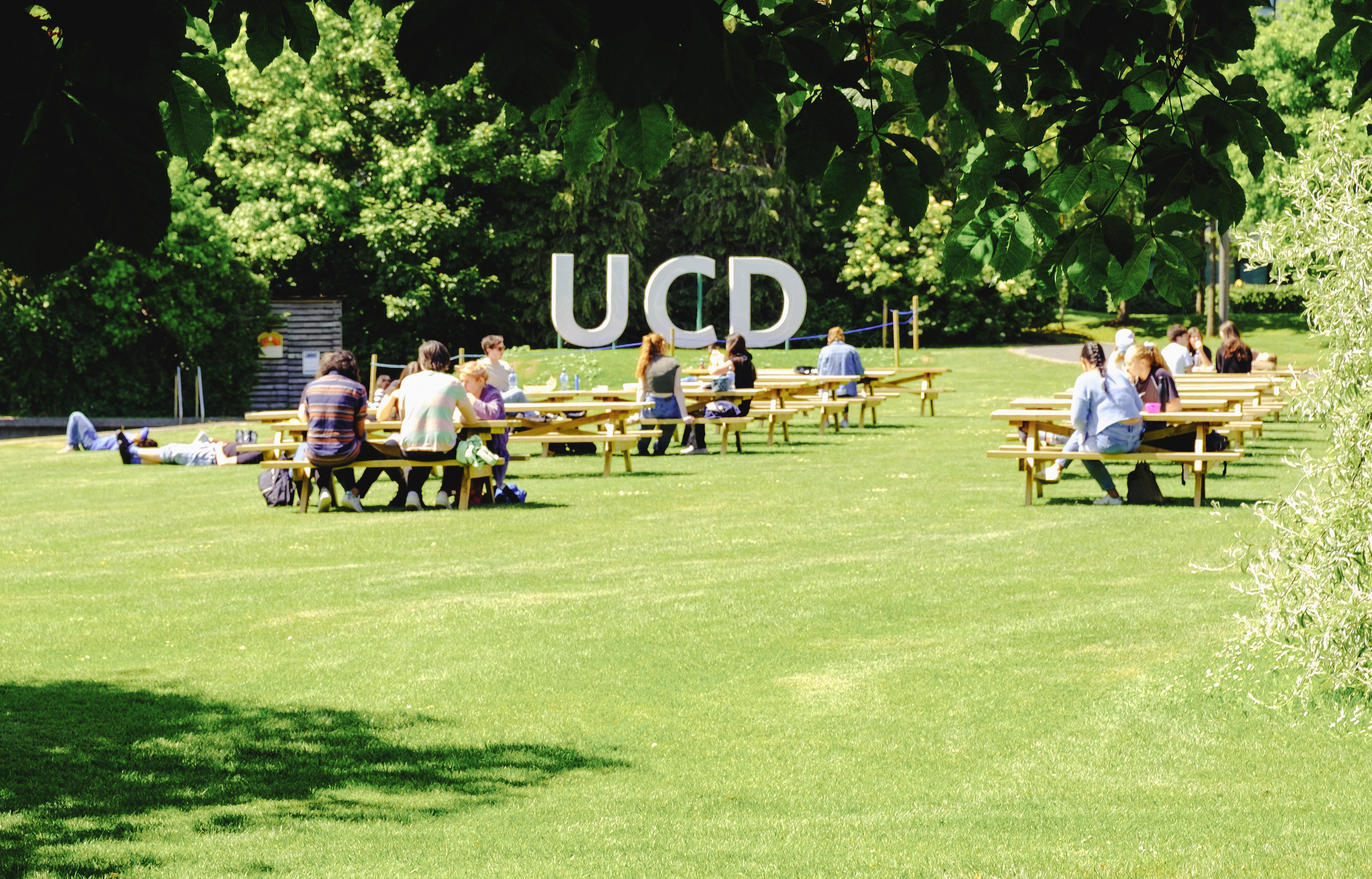 UCD visitors sitting on benches in the sun in front of the O'Reilly Hall