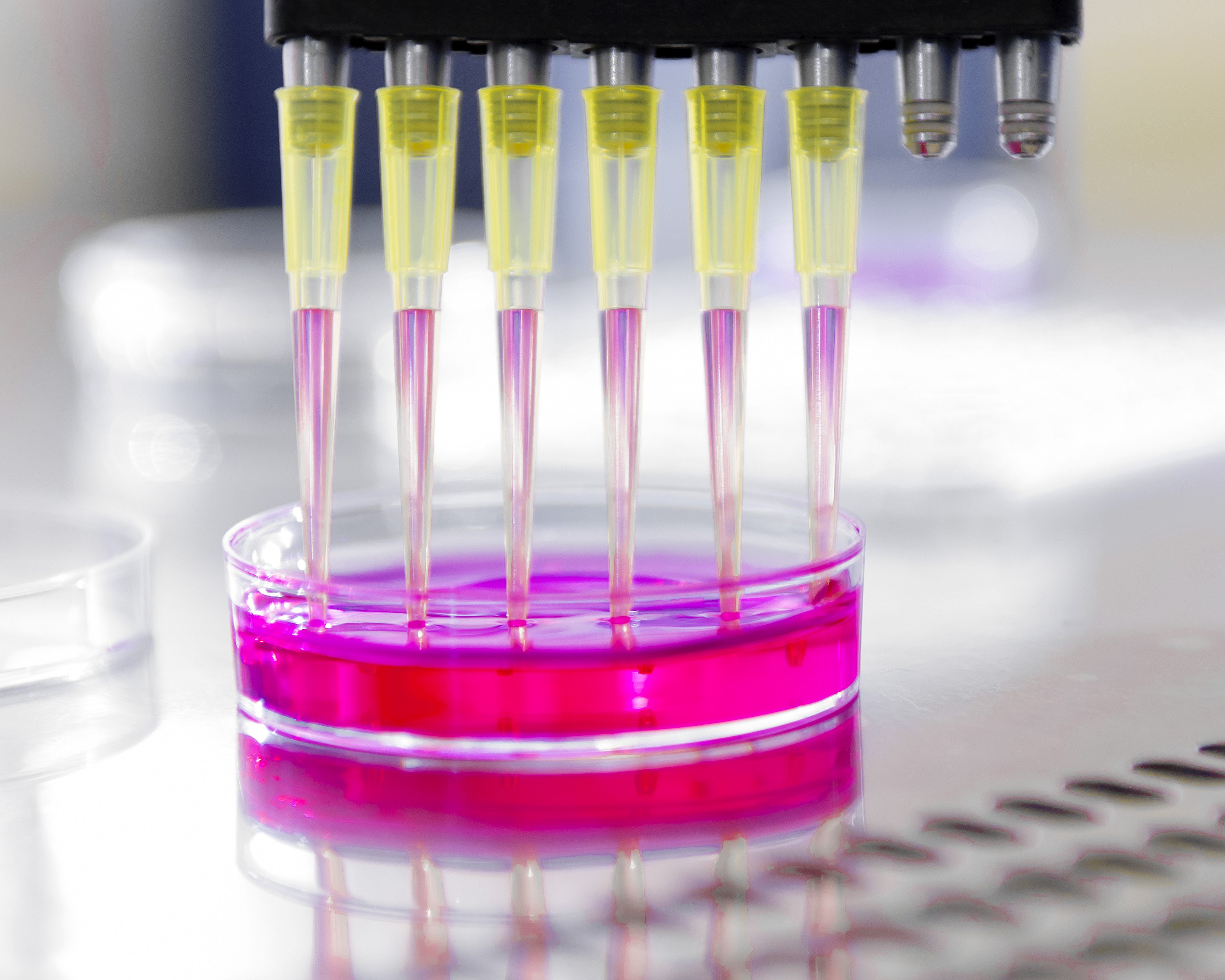 Test tubes standing on their ends