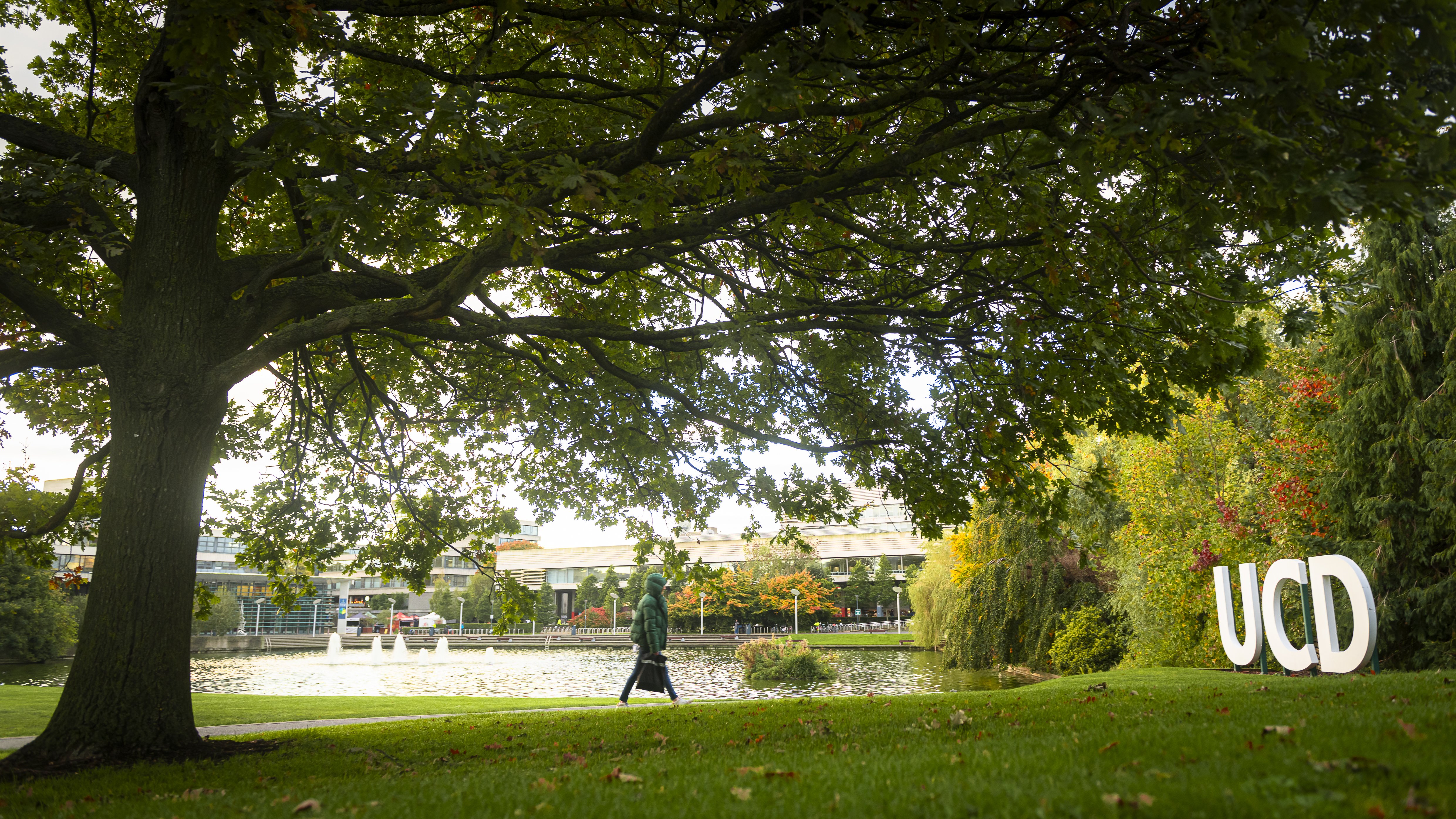 UCD sign beside the Belfield lake