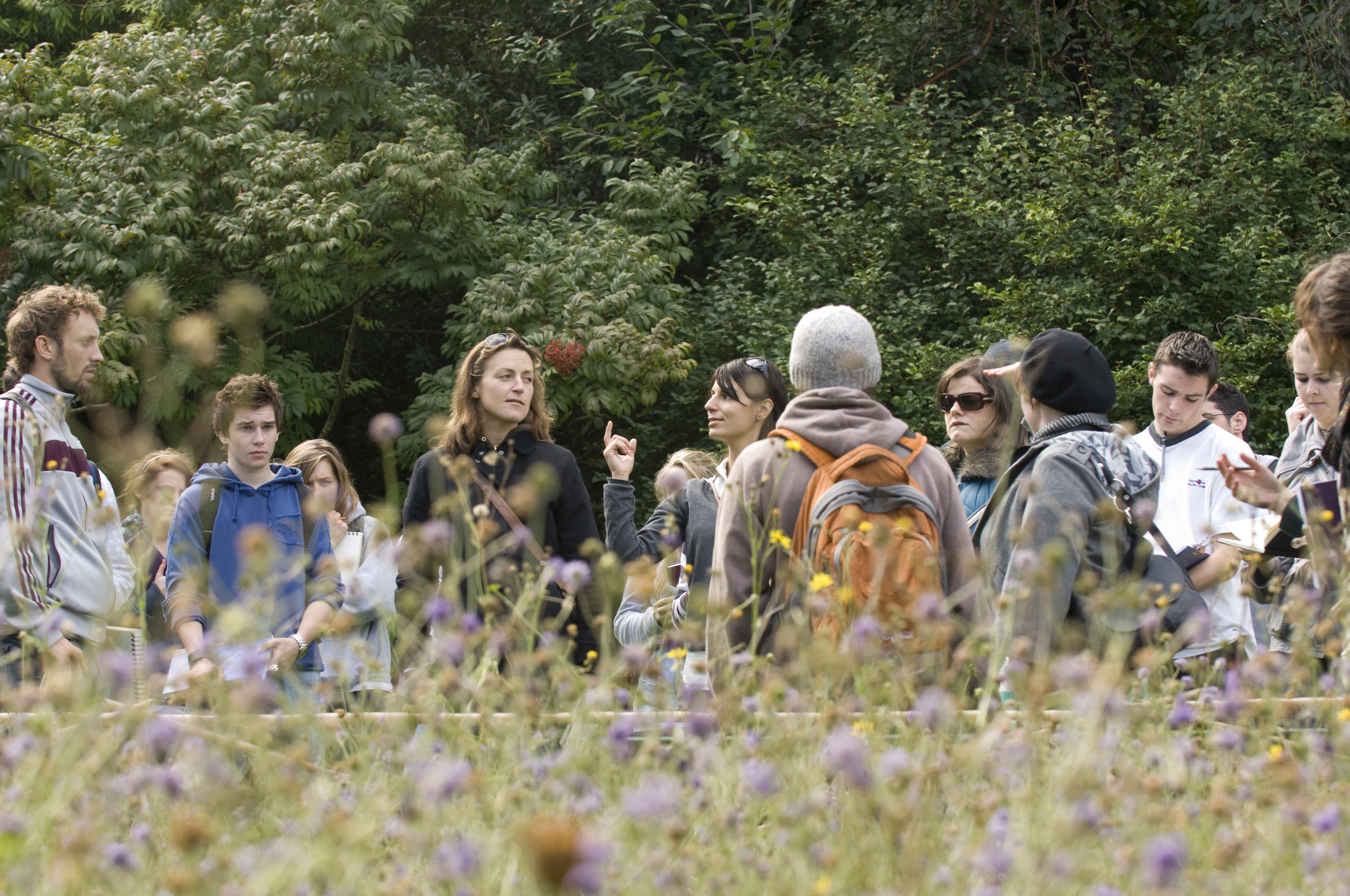 A group of students in a field of flowers, listening to a lecturer.