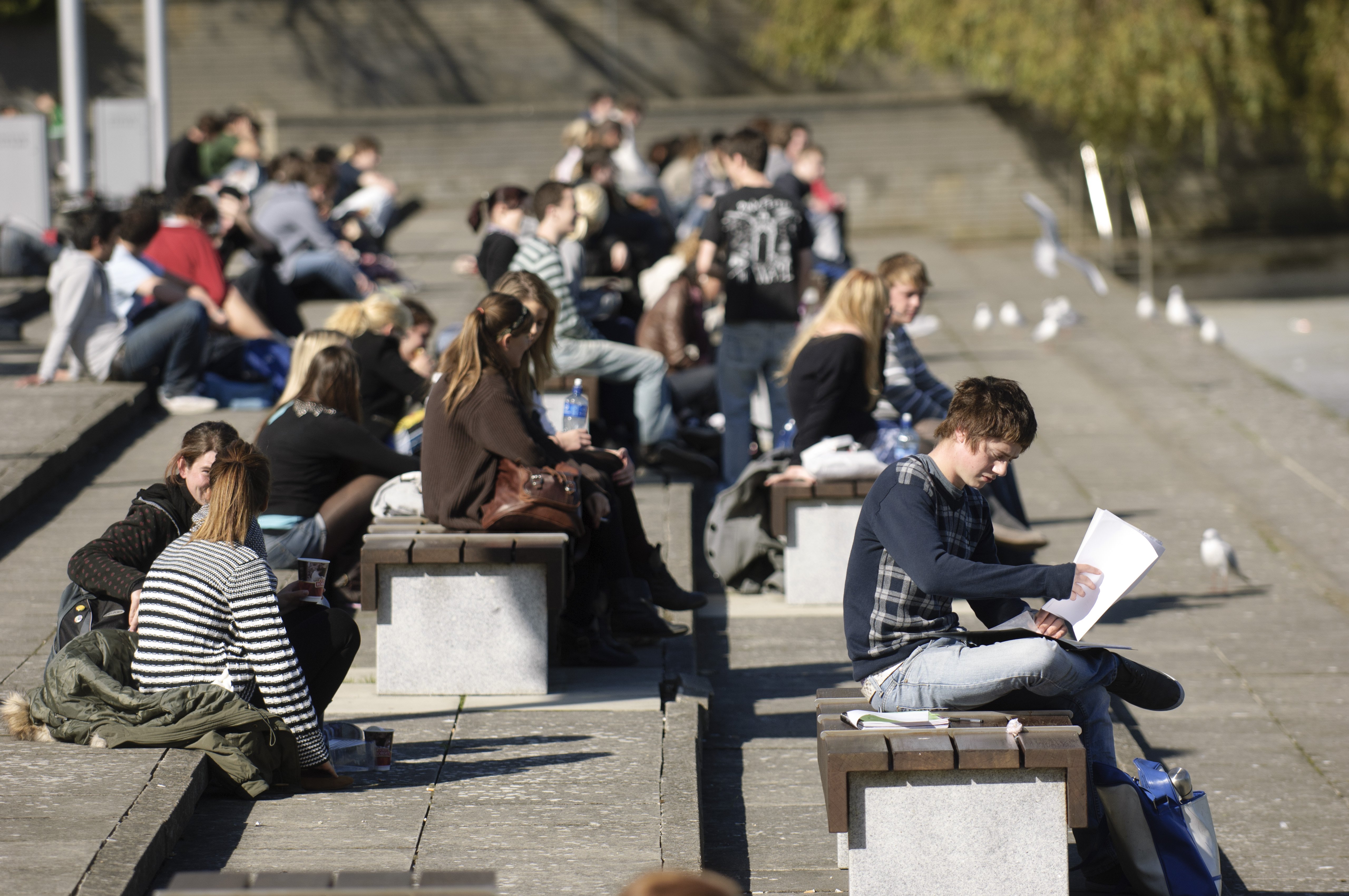 Students sitting by the main lake on UCD Belfield campus.