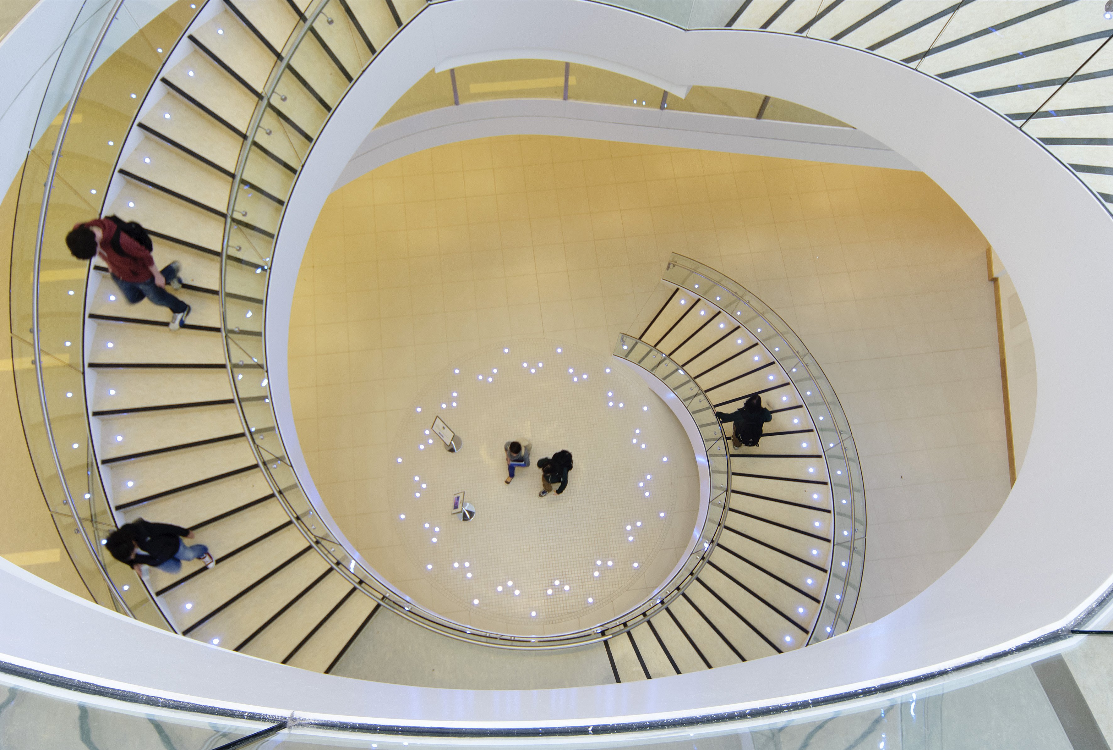 Student on the stairs in Science East, looking down into the stairwell.