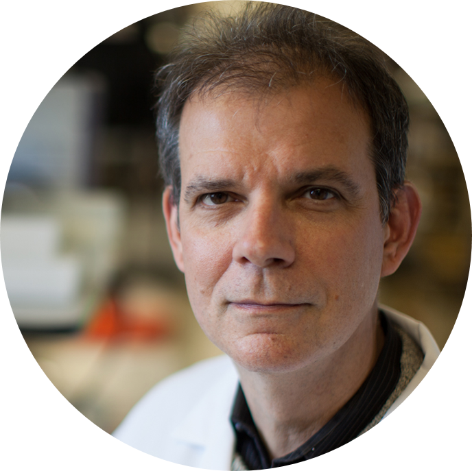 Profile photo of Prof. Arturo Casadevall