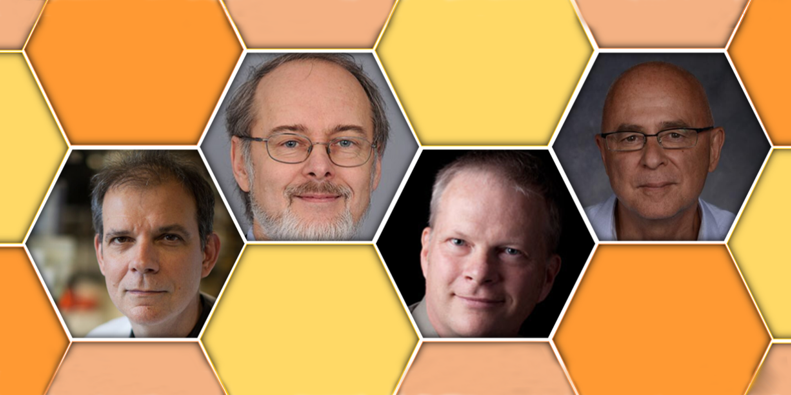 The programme will comprise of oral and poster communications, including plenary lectures from acknowledged scientists in the field of microbial carbohydrates.\n