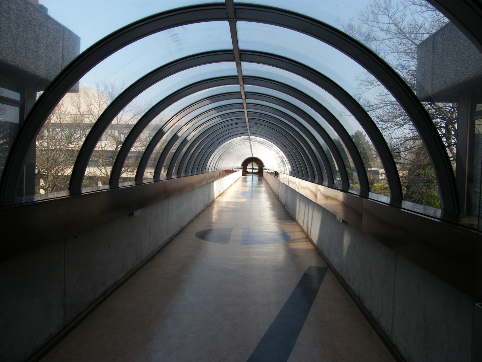 The covered walkway from the Newman Building to the Tierney Building