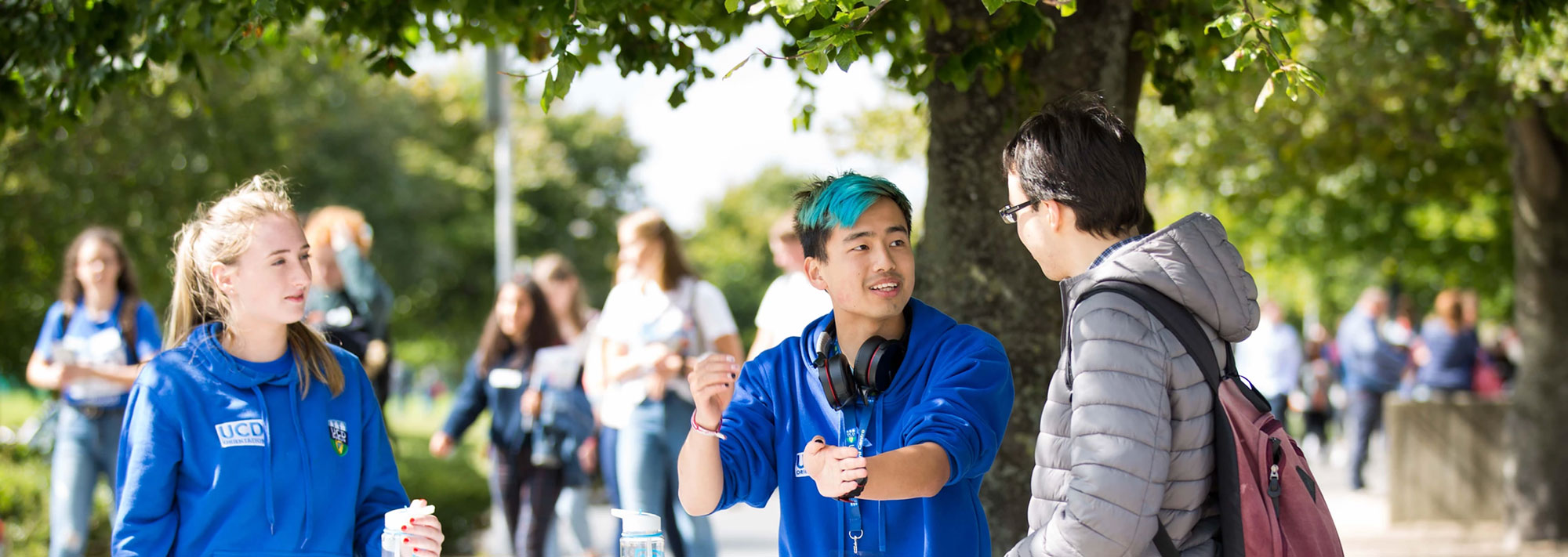 UCD New Students 2025