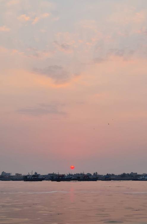 Sunset over a hazy silhouette of a cityscape with a pink and orange sky, scattered clouds, and a few birds flying.