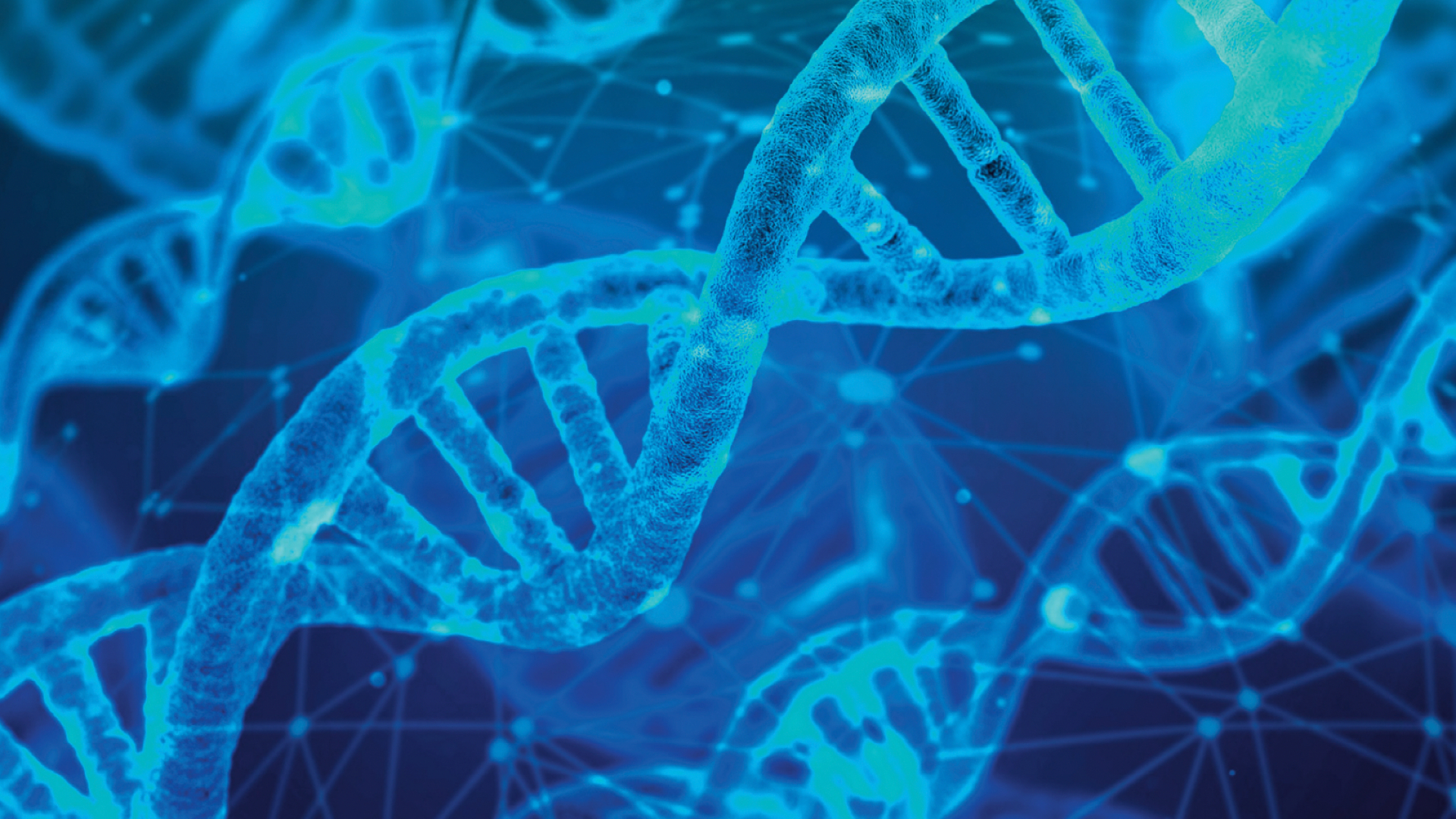 Advancing global understanding of the mechanisms of health to provide innovative solutions.