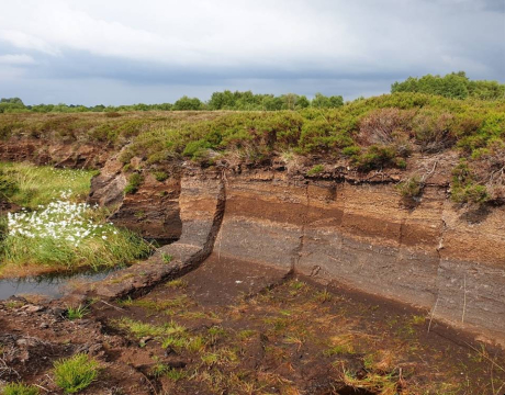 For more than 20 years, UCD researchers have examined the workings of Ireland&rsquo;s peatlands. These biodiverse natural ecosystems cover around a fifth of the country&rsquo;s land area and are important in tackling climate change and reducing flood risk.\n\n 