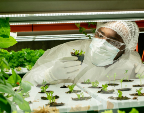 UCD co-leads a &euro;31.5M Co-Centre, where world-leading researchers work closely with government and industry to drive societal and political change in the transition to climate neutrality.