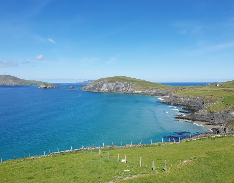 UCD researchers have been working with Government, stakeholders and the public on a report that formed the backbone of Ireland&rsquo;s General Scheme of Marine Protected Areas Bill 2022. 
