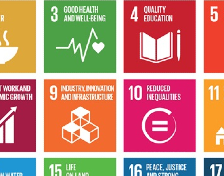 Working across academic disciplines and in partnership with policy, civil society, and international organisations to advance the global sustainable development agenda.