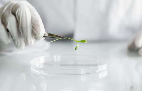 Minister Lawless announces 72 Sustainable Laboratory Certifications