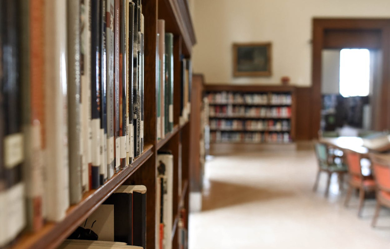 Strengthening public library resistance against far-right agitation