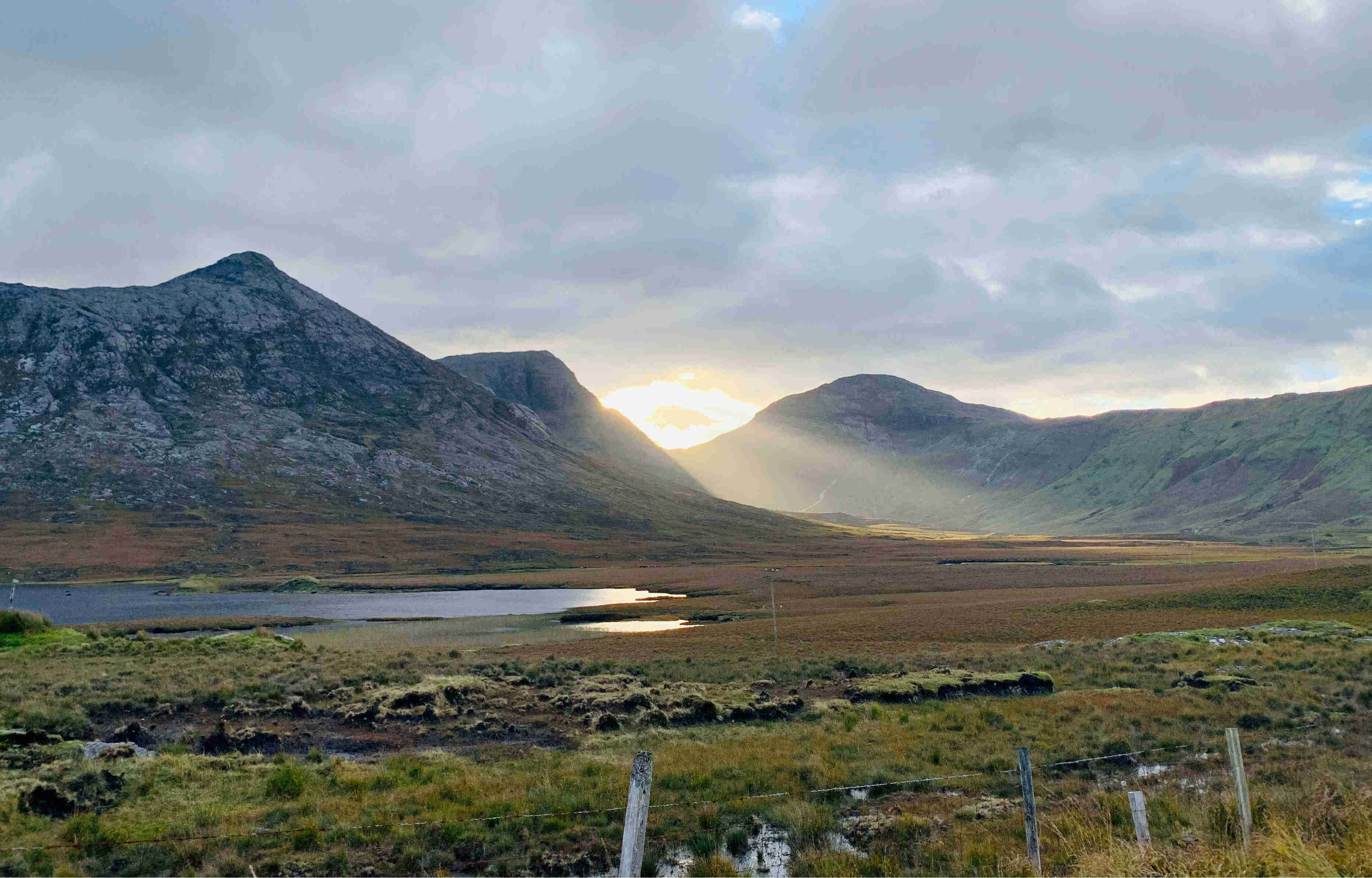 AI2Peat: the All-Ireland AI platform powering smarter peatland management