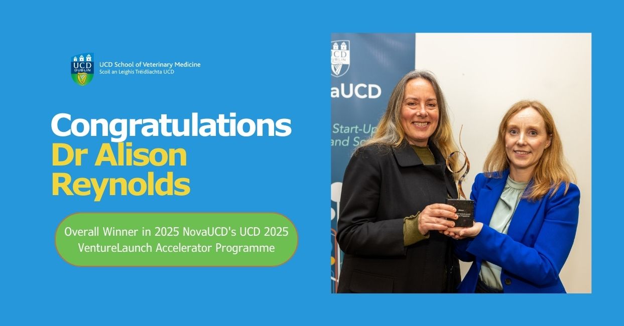 Two women smiling and holding an award at a presentation event. One woman is wearing a black coat and the other a blue blazer. A UCD banner stands behind them. The graphic text reads “Congratulations Dr Alison Reynolds – Overall Winner in 2025 NovaUCD's UCD 2025 VentureLaunch Accelerator Programme” with UCD School of Veterinary Medicine branding on a blue background.