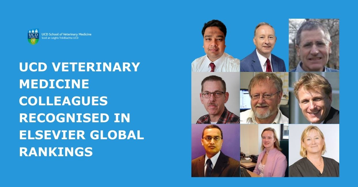 A blue promotional graphic featuring the UCD School of Veterinary Medicine logo and bold white text announcing that UCD Veterinary Medicine colleagues have been recognised in Elsevier Global Rankings. Nine staff headshots are arranged in a grid on the right side of the image, showcasing diverse UCD researchers.