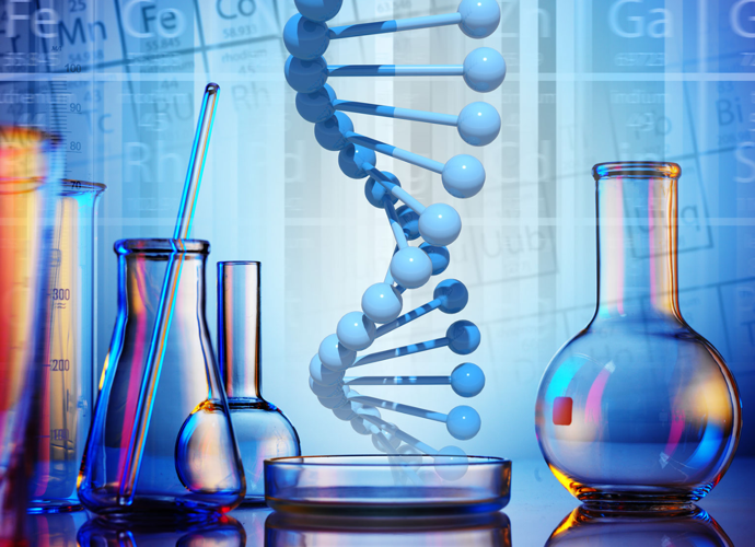 Meet the next generation of veterinary specialists\n