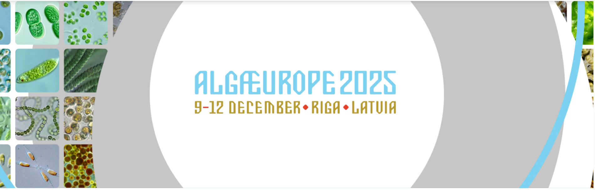Algaeurope 2025
