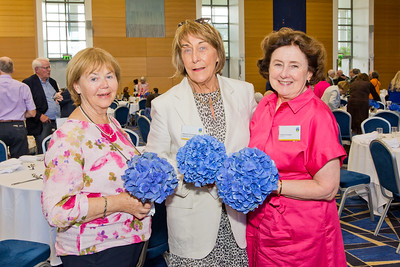 Golden and Diamond Reunion 2025