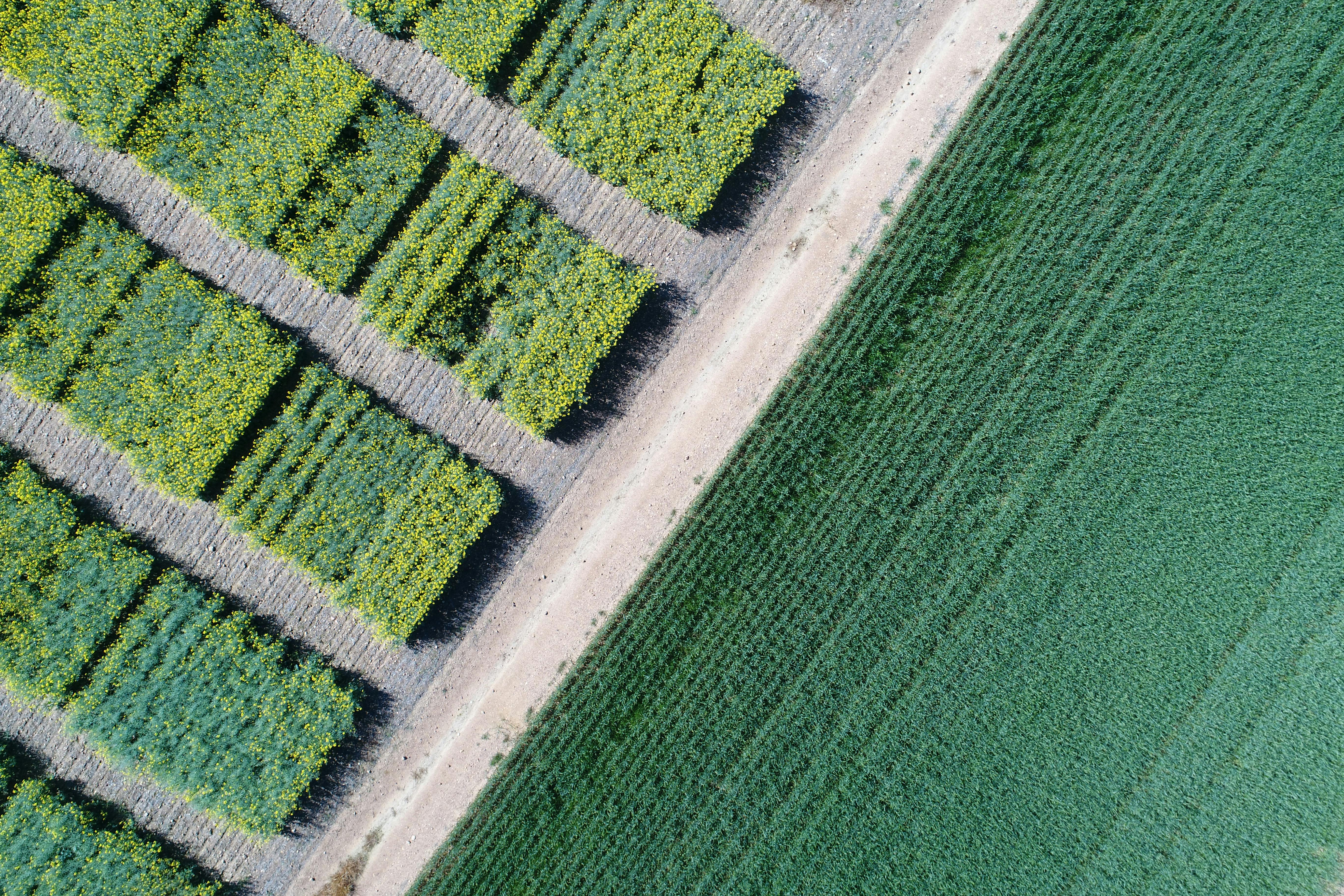 Smart Farming for Gender Equity