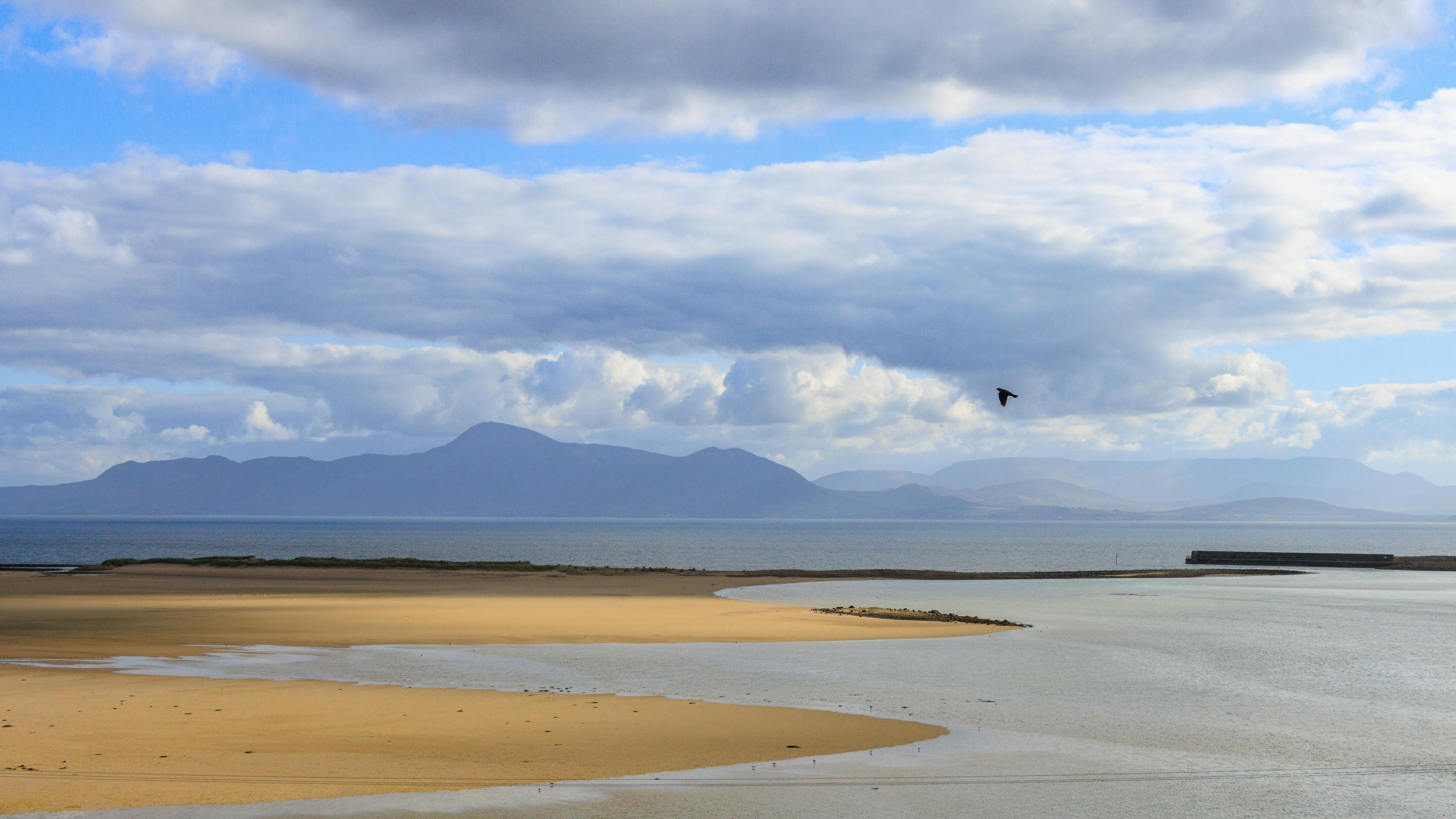 Constitutional visions from the grass-roots