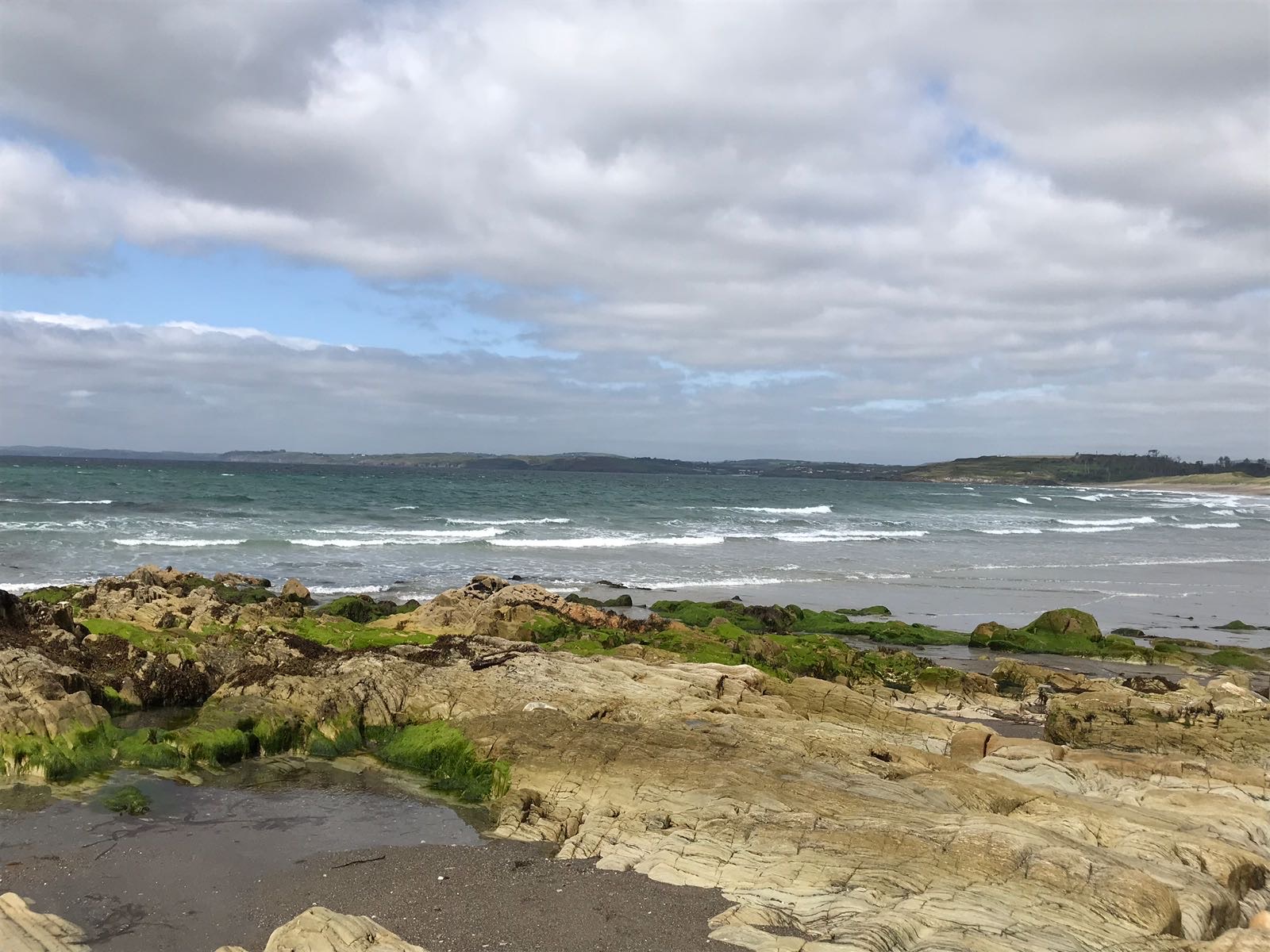 Exciting News from MESSAGE Researchers