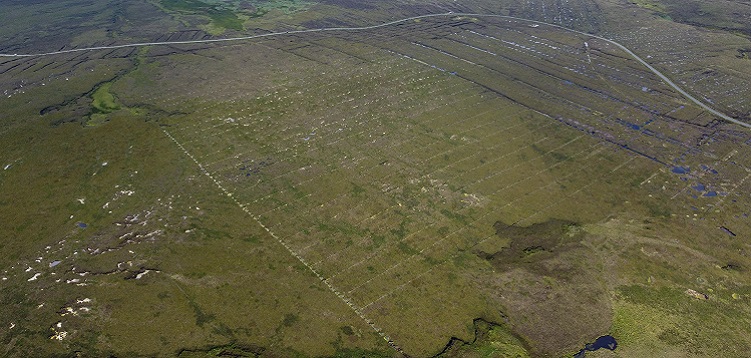 RTE: From bogs to bugs - Irish AI climate projects