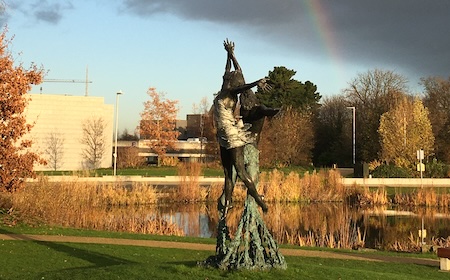 Explore the many pathways available at UCD to study economics