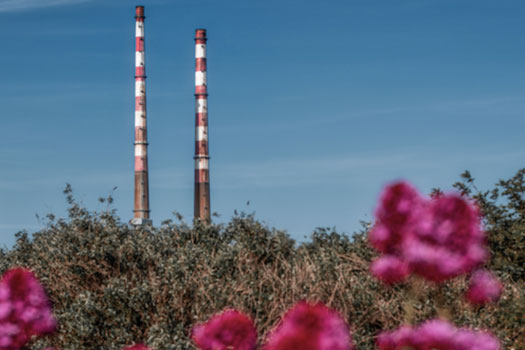 Over the past thirty years, Gender Studies at UCD has become one of the most established programmes of its kind in Ireland with a strong international reputation for feminist research, scholarship, teaching and engagement in public policy and activism.