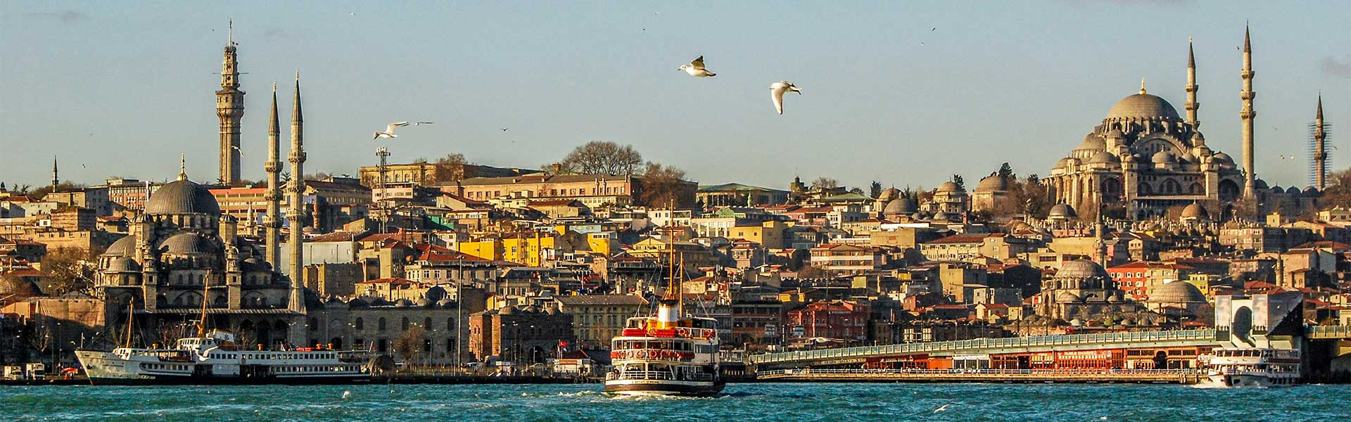 A middle eastern cityscape with multi-coloured buildings on a bright day. Seagulls soar over the city, while a steam boat comes into harbour.