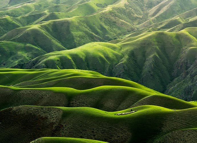 Rolling green hills covered in lush grass, with soft waves and ridges creating a smooth, layered pattern. Sunlight highlights some slopes, casting shadows across the landscape for a dramatic effect.