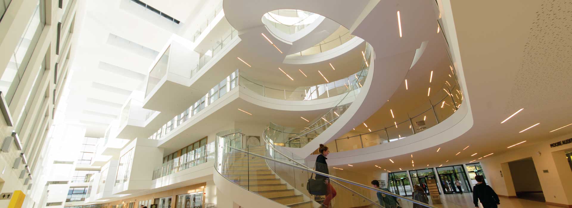 Propose a Partnership