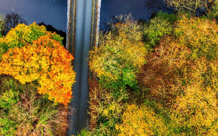 Projects / Collaborations