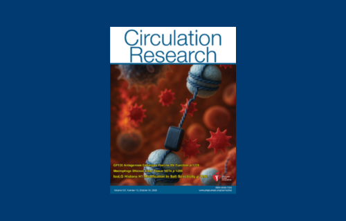 Macrophage DNases Limit Neutrophil Extracellular Trap&ndash;Mediated Defective Efferocytosis in Atherosclerosis