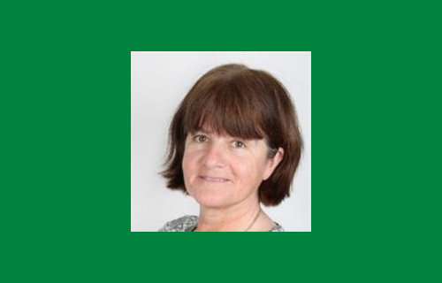 Congratulations to Professor Sally Ann Lynch who has had three papers recently published 