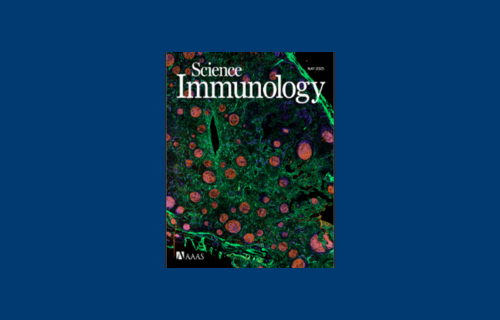 New study provides important insights into the immunosuppressive microenvironment of ovarian cancer with potential implications for future therapy development