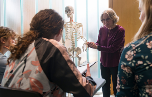 Future Students Portal