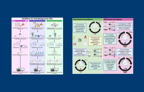 New research will serve as a key reference for advancing integrated pandemic preparedness efforts across human, animal and environmental health sectors