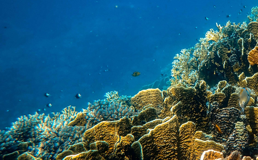 Research-for-Policy Conference 2025