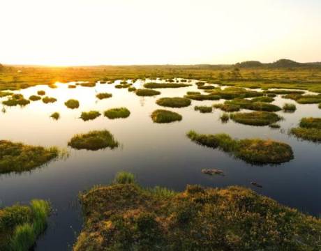 Engaging with local communities and stakeholders to undertake hands-on restoration of wetland sites across Europe. The project uses both co-creation and co-design to achieve its goals. \n\n