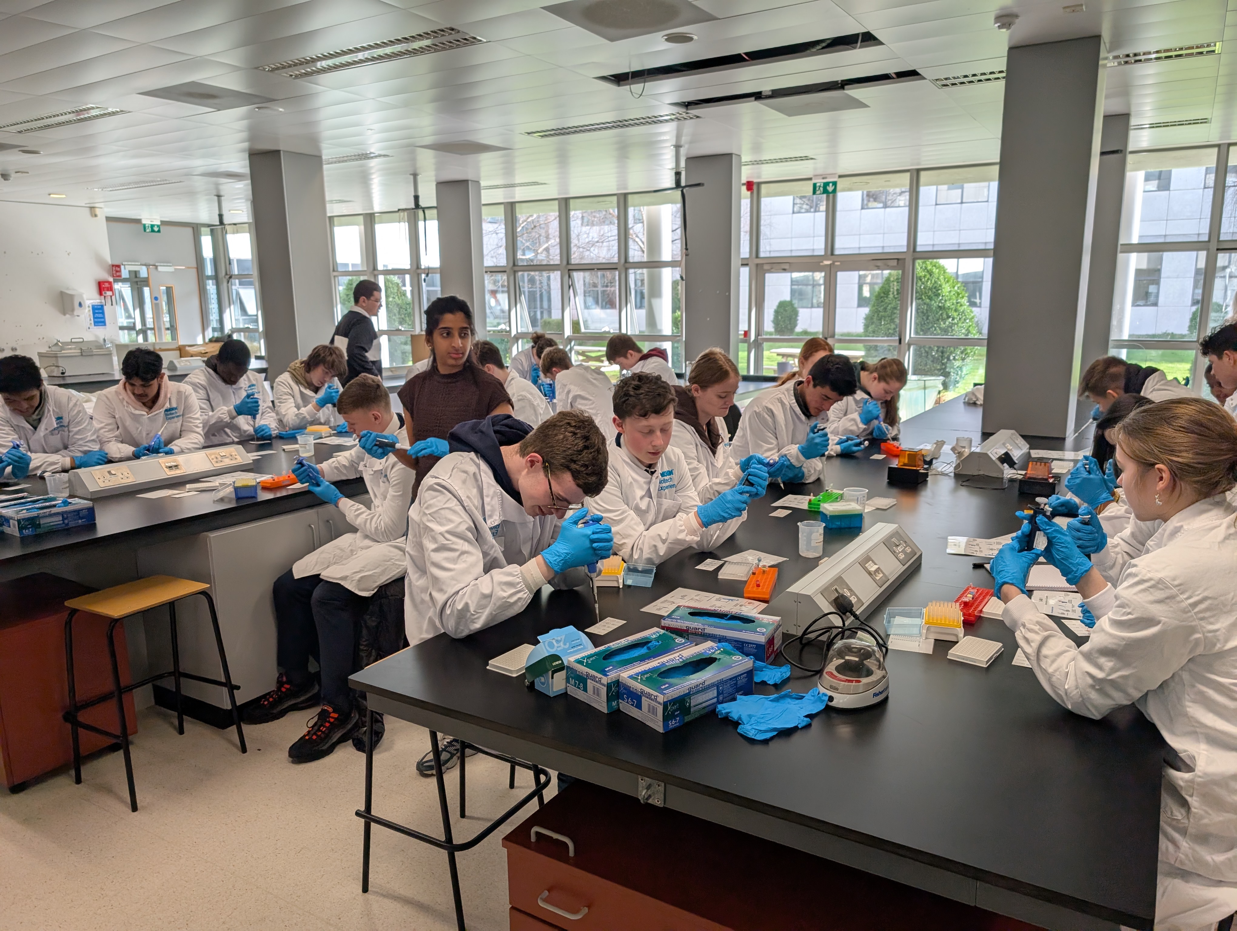 Research Ireland Discover Programme funding for 7 UCD projects inspiring STEM public engagement  