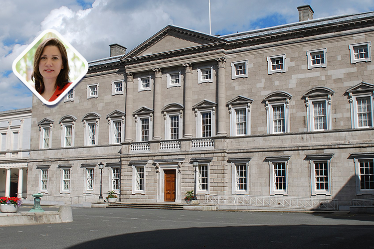Oireachtas told national AI strategy needed to keep education fair.