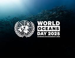 World Oceans Day: nature-based and eco-engineered coastal protection solutions