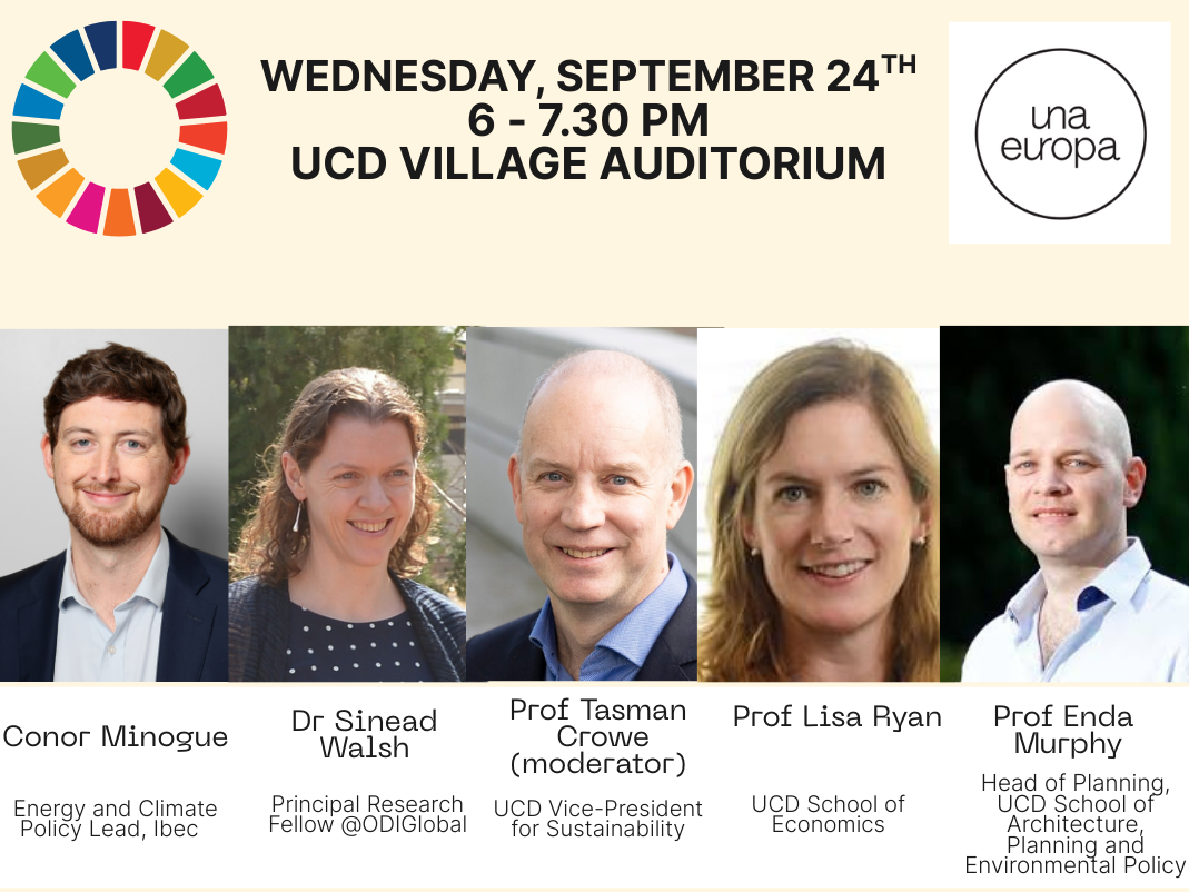 What next for the SDGs? Panel discussion takeaways