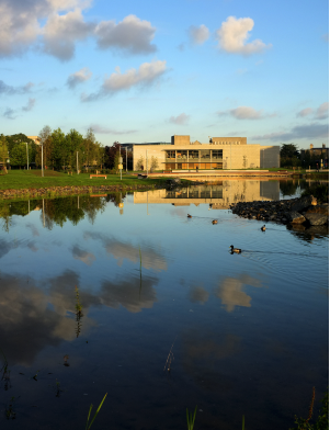 Caption for this image