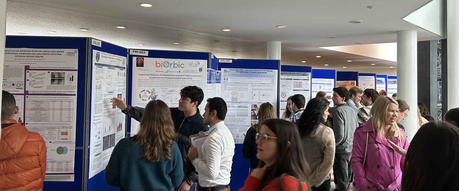 People reading posters hanging on boards