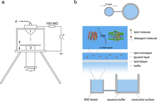 Schematic of research